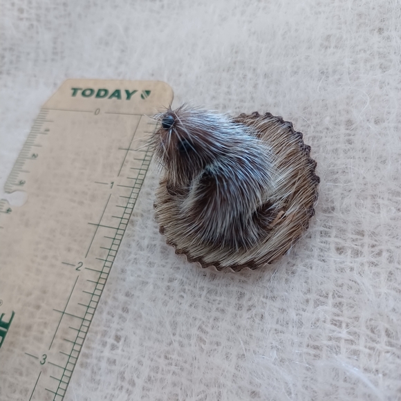 Vintage  fur Groundhog  brooch - Picture 4 of 5